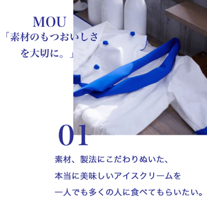 17. MOW (モウ) バニラ 9個セット アイス アイスクリーム アイスバー モウ 森永乳業 静岡 裾野市