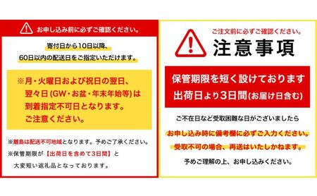 アイスクリーム MOW モウ 宇治抹茶 9個セット 抹茶アイス ギフト セット お歳暮 贈答品 抹茶 アイス 静岡 裾野市 ※配送不可：離島