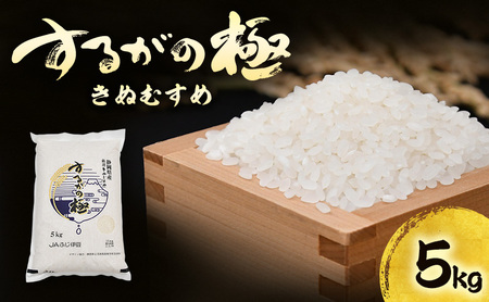 するがの極(きぬむすめ)5kg【お米・5kg】 白米 ライス ご飯 ブランド米 銘柄米 お弁当 おにぎり 一等米 芳醇な香り 旨み 精米