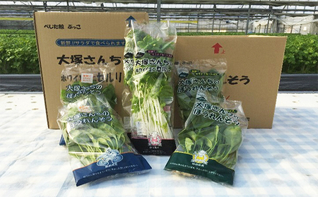 そのまま食べられる！野菜サラダセット24袋【配送不可：離島】