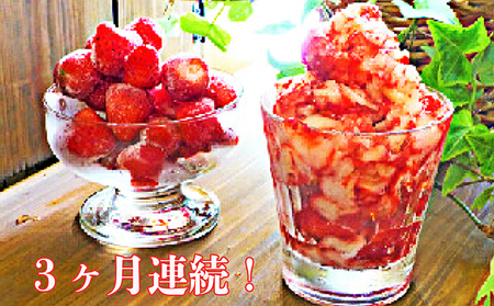 3ヶ月連続！裾野産完熟冷凍イチゴ2kg 果物 フルーツ いちご 苺
