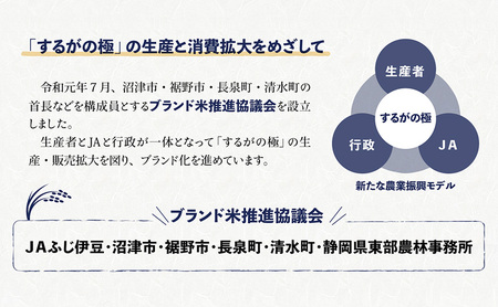 するがの極（きぬむすめ）2kg×2袋 ラブライブ！サンシャイン!!オリジナルデザイン【お米・2kg】 白米 ライス ご飯 ブランド米 銘柄米 お弁当 おにぎり 一等米 芳醇な香り 旨み 精米