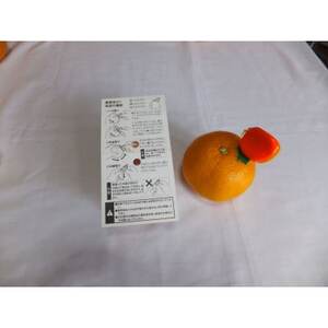 オレンジシュッター_雑貨 _【1385441】