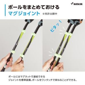 DFPプログレッシブズーム2 水色 ノルディックウォーキングポール 製品安全協会認定基準SG合格品_雑貨・日用品 アウトドア用品 スポーツ・アウトドア用品 _【1386431】