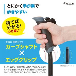 DFPプログレッシブズーム2　赤色　ノルディックウォーキングポール　製品安全協会認定基準SG合格品_雑貨・日用品 アウトドア用品 スポーツ・アウトドア用品 _【1386442】