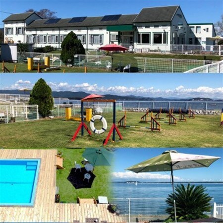 ペロはまなこ 宿泊券 1年間有効「浜名湖和会席重プラン」限定日なし2名様 8畳洋室 ペットと泊まれる_旅行券・チケット 宿泊券  _【1387775】 7,800円