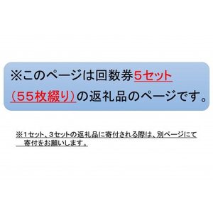 新居弁天海釣公園★駐車場回数券 5セット(55枚綴)_旅行券・チケット   _【1450333】
