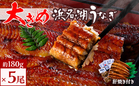 食品添加物不使用の浜名湖うなぎ　長蒲焼5尾(約180g×5)大きなうなぎで脂ノリノリです!肝焼き付_うなぎ 鰻 浜名湖産 食品添加物不使用 肝焼き_【配送不可地域：離島】【1473248】