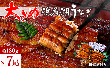食品添加物不使用の浜名湖うなぎ　長蒲焼7尾(約180g×7)大きなうなぎで脂ノリノリです!肝焼き付き_魚介・海産物 うなぎ  ウナギ 鰻_【配送不可地域：離島】【1473288】 8,750円