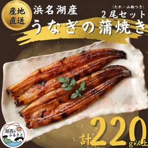 【国産】浜名湖うなぎ蒲焼き110g以上　2本セット(たれ・山椒付き)_うなぎ ウナギ 鰻 蒲焼 かば焼き 浜名湖産 浜名湖 静岡県 湖西市 ふるさと 惣菜 おかず 人気 美味しい_【配送不可地域：離島】【1487458】