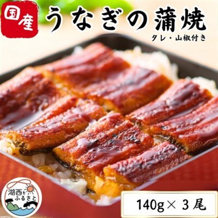 特撰浜名湖うなぎ蒲焼140g×3尾_魚介・海産物 うなぎ  ウナギ 鰻_【配送不可地域：離島】【1497489】
