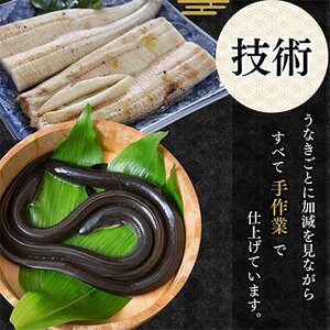 【蒲焼き用タレ付き】浜名湖うなぎ白焼き140g×10尾(冷凍・真空パック)_うなぎ 鰻 白焼き 浜名湖産 冷凍 真空パック_【配送不可地域：離島】【1497509】