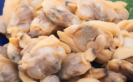 アサリのふっくら煮10袋セット_魚介・海産物 あさり 貝 アサリ 浅蜊_【配送不可地域：離島】【1498638】