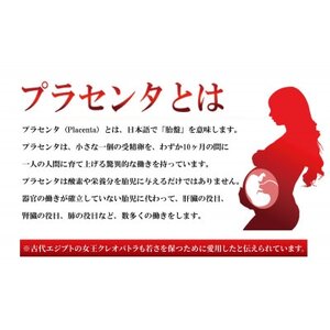 サラブレッドプラセンタ【3箱セット】(1箱30粒入)_惣菜・加工品   _【1501405】