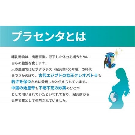 SPFプラセンタ【10箱セット】(1箱30粒入)_惣菜・加工品   _【1501454】
