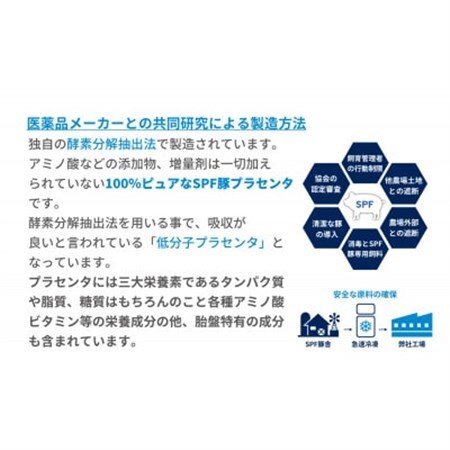 SPFプラセンタ【10箱セット】(1箱30粒入)_惣菜・加工品   _【1501454】