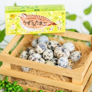 うずらの卵ギフトセット(うずらの生卵10個+うずらの燻製玉子5個入×2袋)_卵・乳製品 卵  たまご タマゴ 玉子  惣菜・加工品 燻製（スモーク）  _【配送不可地域：離島】【1508073】