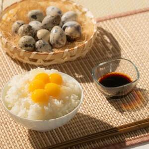 うずらの卵ギフトセット(うずらの生卵10個+うずらの燻製玉子5個入×2袋)_卵・乳製品 卵  たまご タマゴ 玉子  惣菜・加工品 燻製（スモーク）  _【配送不可地域：離島】【1508073】