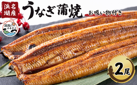 【浜名湖産】うなぎ蒲焼き(真空パック)×2本　タレ・山椒・お吸い物付_魚介・海産物 うなぎ  ウナギ 鰻  魚介・海産物   _【配送不可地域：離島】【1398863】