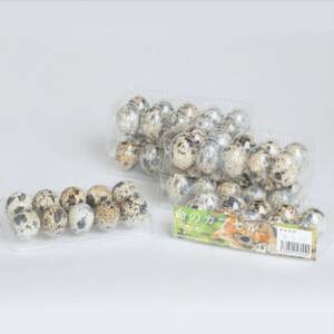 命のカプセル　うずらの生卵60個_卵・乳製品 卵  たまご タマゴ 玉子_【配送不可地域：離島】【1508077】