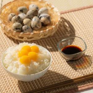 命のカプセル　うずらの生卵120個_卵・乳製品 卵  たまご タマゴ 玉子_【配送不可地域：離島】【1508078】