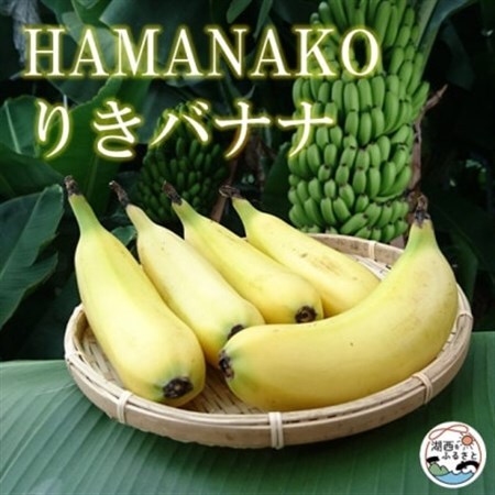 HAMANAKO　りき　バナナ 箱入り 5本(各160~190g)_果物・フルーツ   くだもの_【配送不可地域：離島】【1525861】