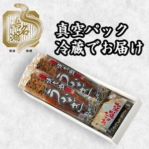 浜名湖産うなぎ　大・長蒲焼パック 2枚入り_魚介・海産物 うなぎ  ウナギ 鰻_【配送不可地域：離島】【1533780】