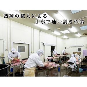 浜名湖産うなぎ　大・長蒲焼パック 2枚入り_魚介・海産物 うなぎ  ウナギ 鰻_【配送不可地域：離島】【1533780】