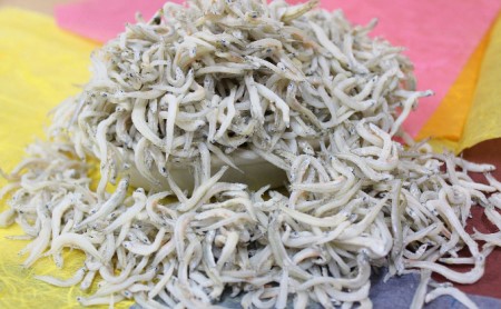 遠州灘産しらす干し2kg
