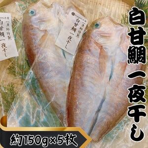【遠州灘産】白甘鯛の一夜干し　約150g×5枚_魚介・海産物 鯛 鮮魚 たい タイ_【配送不可地域：離島】【1587703】