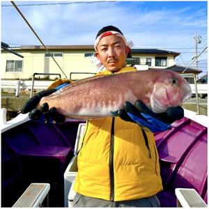 【遠州灘産】白甘鯛の一夜干し　約150g×5枚_魚介・海産物 鯛 鮮魚 たい タイ_【配送不可地域：離島】【1587703】