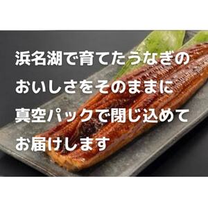 【浜名湖産】うなぎ蒲焼き(真空パック)×3本　タレ・山椒・お吸い物付【配送不可地域：離島】【1398866】