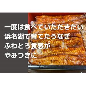 【浜名湖産】うなぎ蒲焼き(真空パック)×3本　タレ・山椒・お吸い物付【配送不可地域：離島】【1398866】