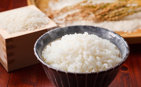 早期予約】令和5年産新米 コシヒカリ 10kg 無洗米 | 静岡県湖西市