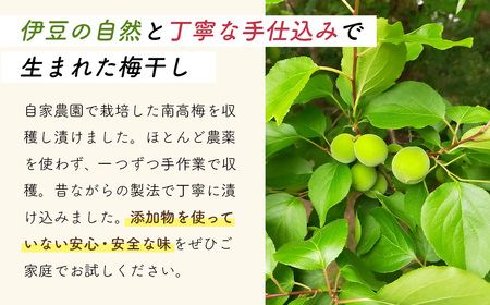【数量限定】 伊豆 天城農園 青い鳥 グランパ 梅干し 160g×4パック 【梅 無添加 減塩 数量限定 】015-007