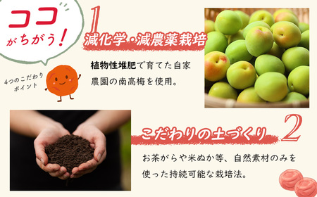 【数量限定】 伊豆 天城農園 青い鳥 グランパ 梅干し 160g×4パック 【梅 無添加 減塩 数量限定 】015-007