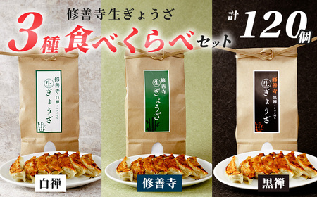 餃子 修善寺 生 ぎょうざ ３種 食べくらべ セット 120個入（冷凍）|  020-020 