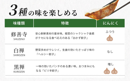 餃子 修善寺 生 ぎょうざ ３種 食べくらべ セット 120個入（冷凍）|  020-020 