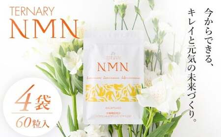 ターナリーNMN（60粒入パウチ）×４袋【エイジングケア 高純度 健康維持 毎日習慣 国内工場 緑黄色野菜 ビタミンA ビタミンC ビタミンE NAD 美容 健康 カプセル 静岡 伊豆　RNA NMN nmn サプリ サプリメント 国内製造 高純度 耐酸性 カプセル タブレット 健康 サーチュイン】
