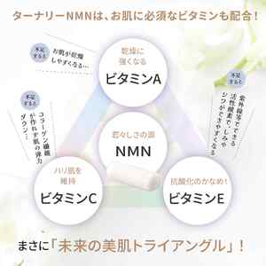 ターナリーNMN（60粒入パウチ）×8袋　【エイジングケア 高純度 健康維持 毎日習慣 国内工場 緑黄色野菜 ビタミンA ビタミンC ビタミンE NAD 美容 健康 カプセル 静岡 伊豆　RNA NMN nmn サプリ サプリメント 国内製造 高純度 耐酸性 カプセル タブレット 健康 サーチュイン】