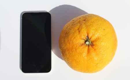 【26年発送・先行予約＆数量限定】甘夏みかん「ゴールドラッシュ」約5kg（皮むき器付き） | 甘夏 甘夏 みかん オレンジ みかん