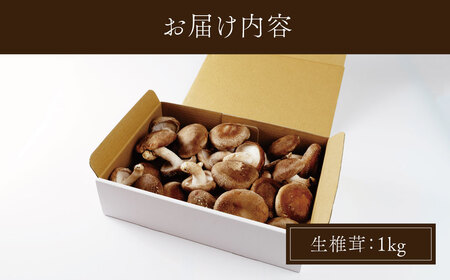 原木栽培の生しいたけ　010-002