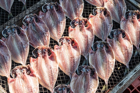 干物 ひものセット④　　干物 干物 干物 干物 干物 【水天丸水産】070-001