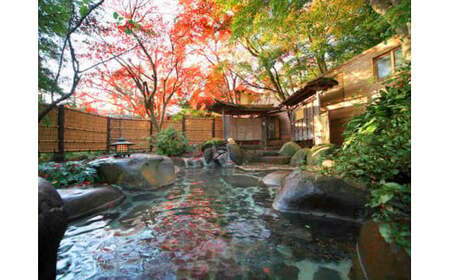 伊豆 修善寺 温泉【 新井旅館】 宿泊券 (1名様) 旅行 クーポン