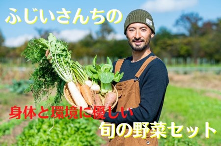 身体と環境に優しいSDGs旬の野菜セット 無農薬 無肥料 自然栽培 旬 新鮮 直送 自然農　010-010