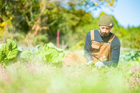 身体と環境に優しいSDGs旬の野菜セット 無農薬 無肥料 自然栽培 旬 新鮮 直送 自然農　010-010