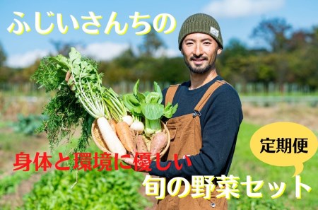 身体と環境に優しいSDGs旬の野菜定期便【4回】発送月が選べる 無農薬 無肥料 自然栽培 旬 新鮮 直送 自然農　040-006