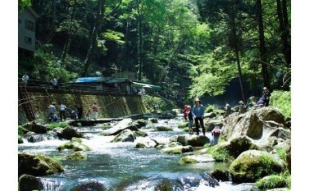 A-017　日本の滝100選「浄蓮の滝」を望む釣り体験!!あまご釣りに挑戦!!渓流釣り体験チケット入門編（2名様）