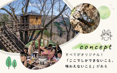 【シャーレ＆コテージピノキオ】平日素泊まり宿泊券（２名様）| コテージ 夏休み 旅行 家族 ファミリー 子連れ 子ども ゲストハウス ツリーハウス アウトドア 外遊び 昆虫 クワガタ カブトムシ 虫捕り 露天風呂 絶景 人気 キャンプ 楽しい 楽しめる 宿泊券 宿泊 クーポン 素泊まり おすすめ ゲームハウス サウナ 高台 伊豆 静岡 |B-059　