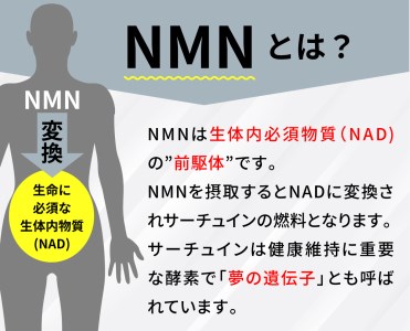 100年時代応援サプリ　NMN15000×5か月分 10-010　NMN 健康  維持  若々しく サプリ エネルギッシュ 酵素 酵母 伊豆